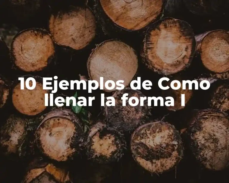 10 Ejemplos de Como llenar la forma I