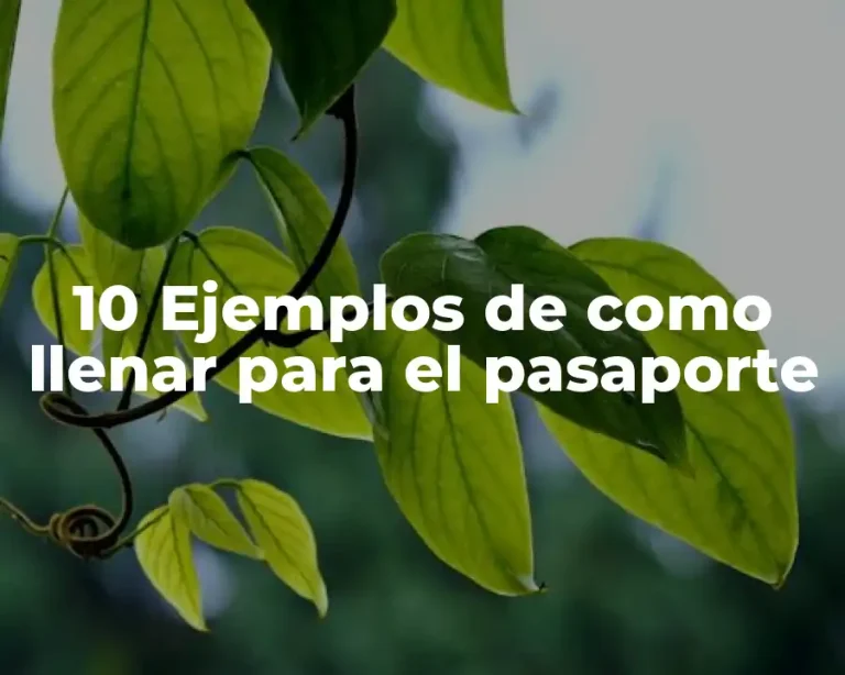 10 Ejemplos de como llenar para el pasaporte