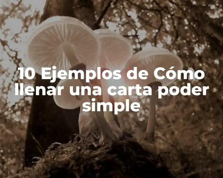 10 Ejemplos de Cómo llenar una carta poder simple