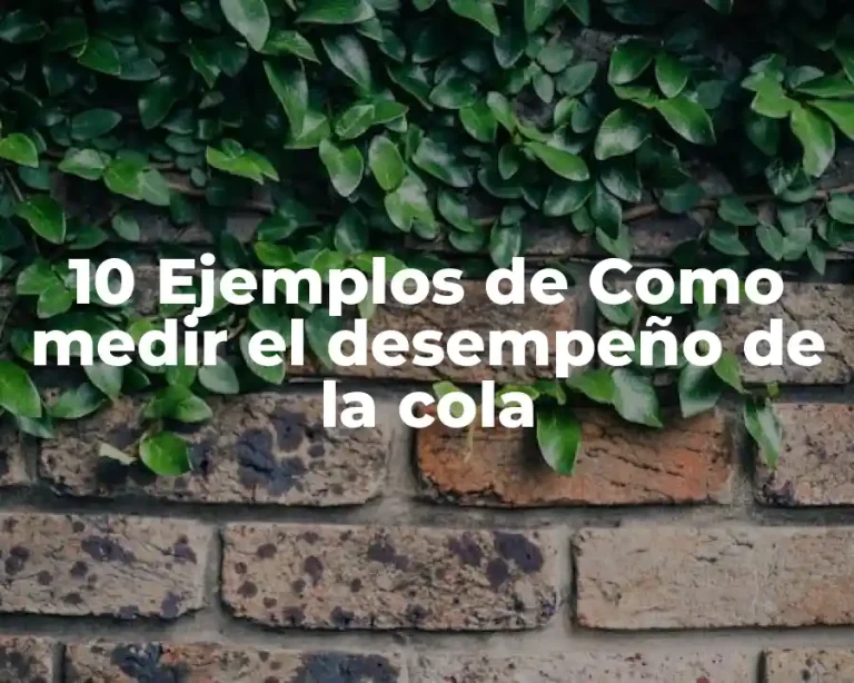 10 Ejemplos de Como medir el desempeño de la cola