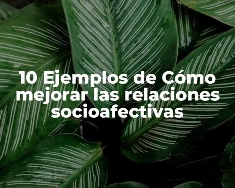 10 Ejemplos de Cómo mejorar las relaciones socioafectivas