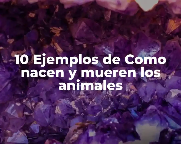 10 Ejemplos de Como nacen y mueren los animales