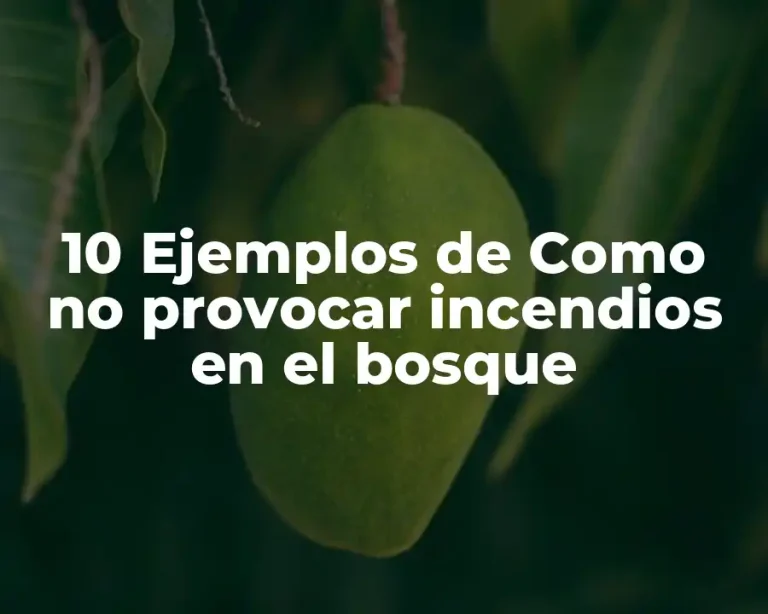 10 Ejemplos de Como no provocar incendios en el bosque