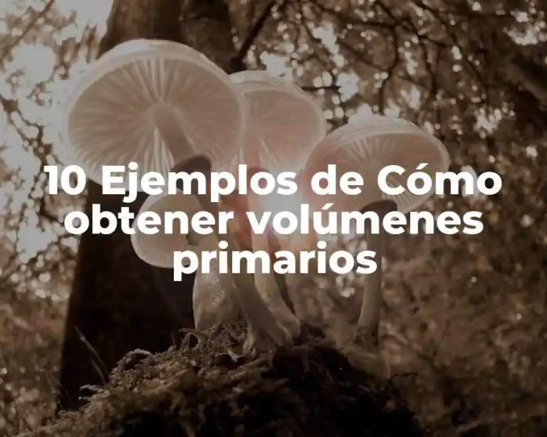 10 Ejemplos de Cómo obtener volúmenes primarios