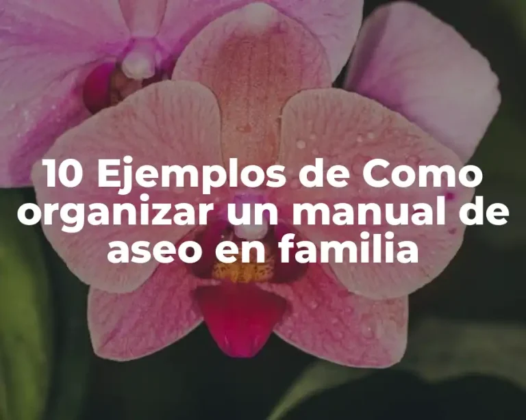 10 Ejemplos de Como organizar un manual de aseo en familia
