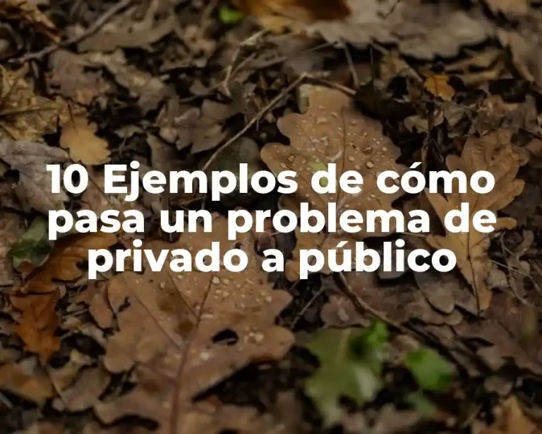 10 Ejemplos de cómo pasa un problema de privado a público