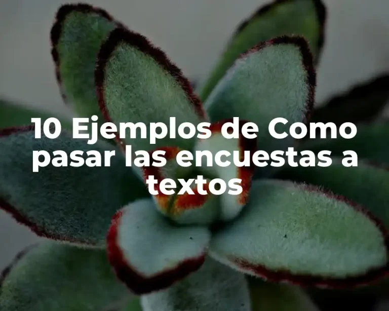 10 Ejemplos de Como pasar las encuestas a textos