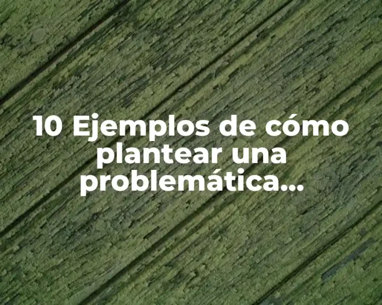 10 Ejemplos de cómo plantear una problemática, Definición, Diferencias y para que sirve