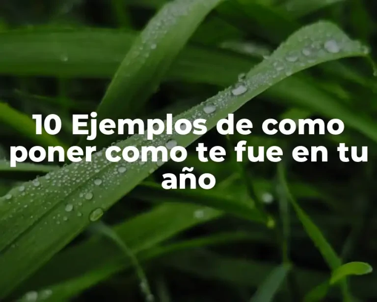 10 Ejemplos de como poner como te fue en tu año