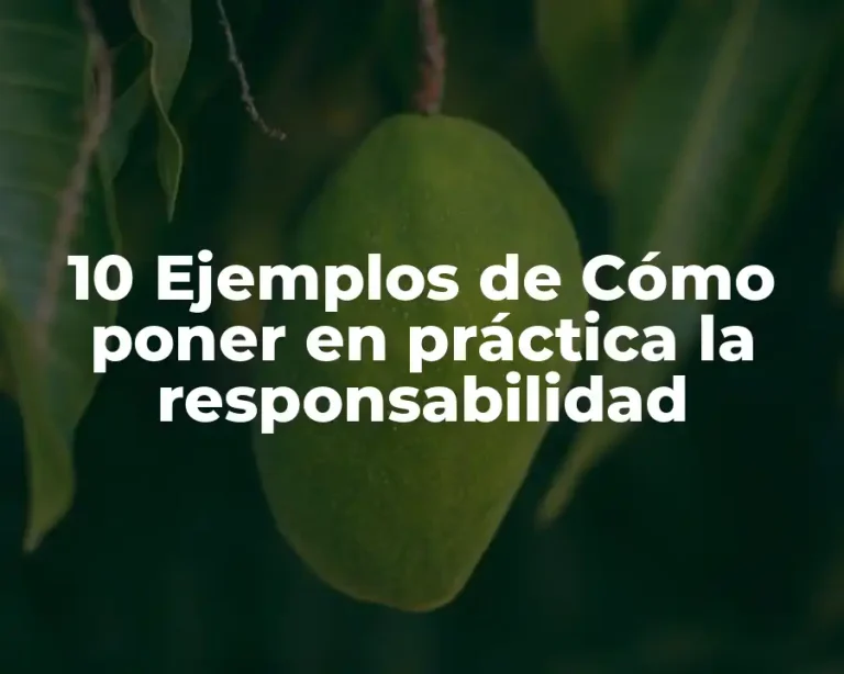 10 Ejemplos de Cómo poner en práctica la responsabilidad