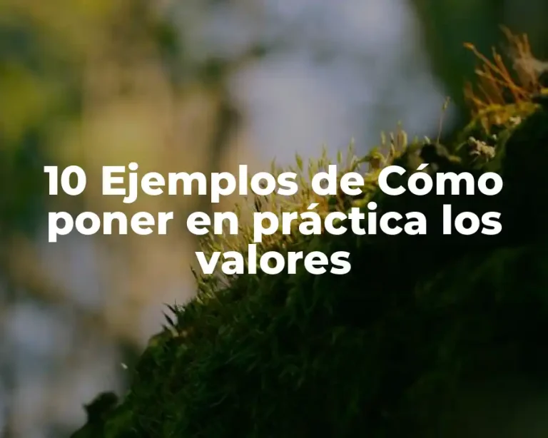 10 Ejemplos de Cómo poner en práctica los valores