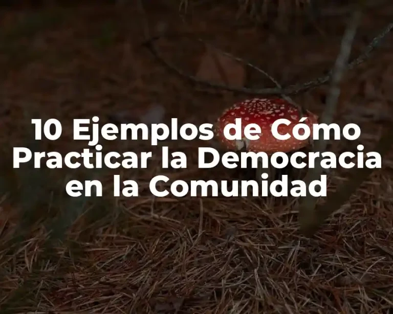 10 Ejemplos de Cómo Practicar la Democracia en la Comunidad