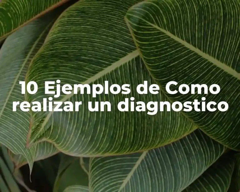 10 Ejemplos de Como realizar un diagnostico