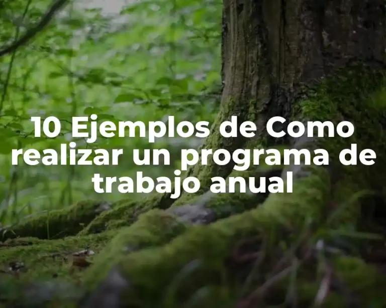 10 Ejemplos de Como realizar un programa de trabajo anual