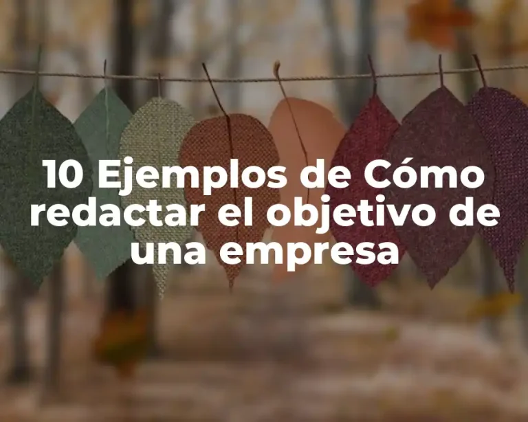 10 Ejemplos de Cómo redactar el objetivo de una empresa