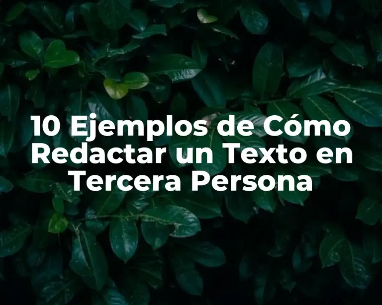 10 Ejemplos de Cómo Redactar un Texto en Tercera Persona