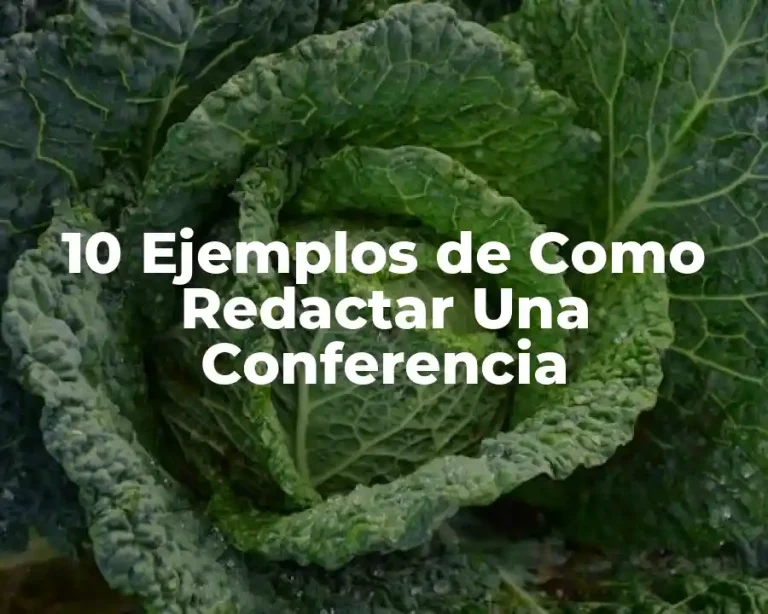 10 Ejemplos de Como Redactar Una Conferencia