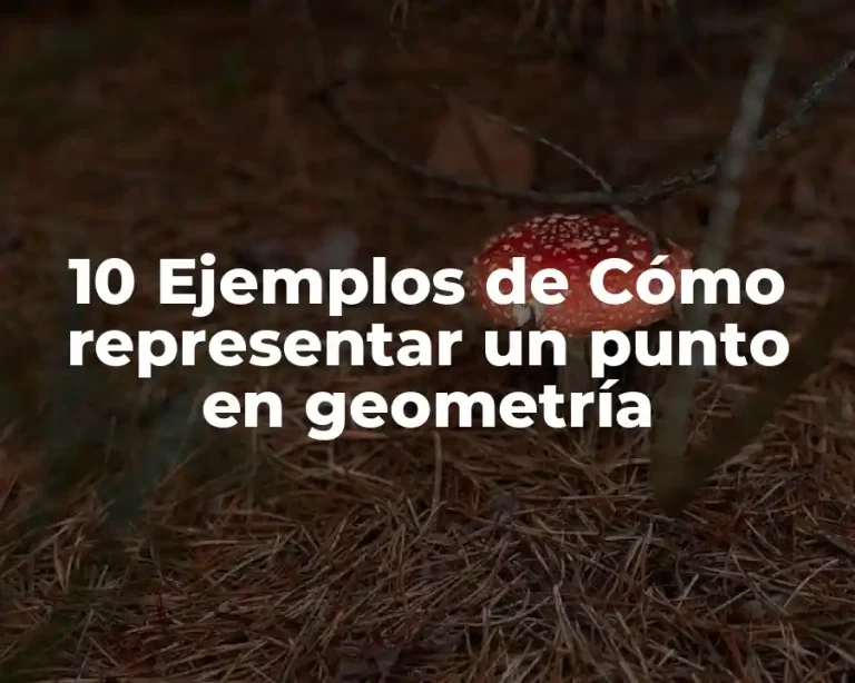 10 Ejemplos de Cómo representar un punto en geometría