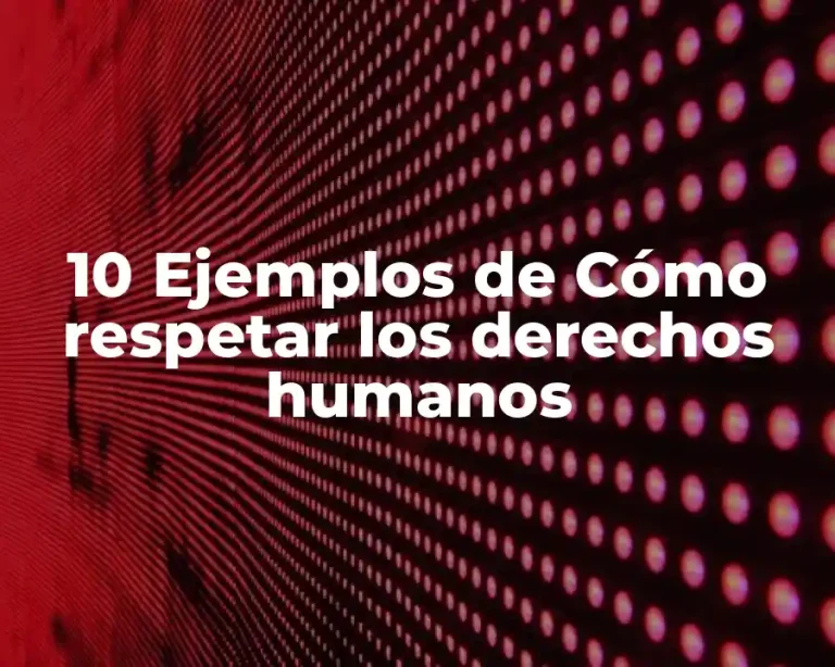 10 Ejemplos de Cómo respetar los derechos humanos