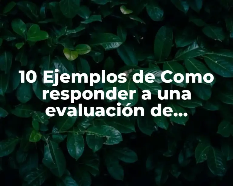 10 Ejemplos de Como responder a una evaluación de desempeño