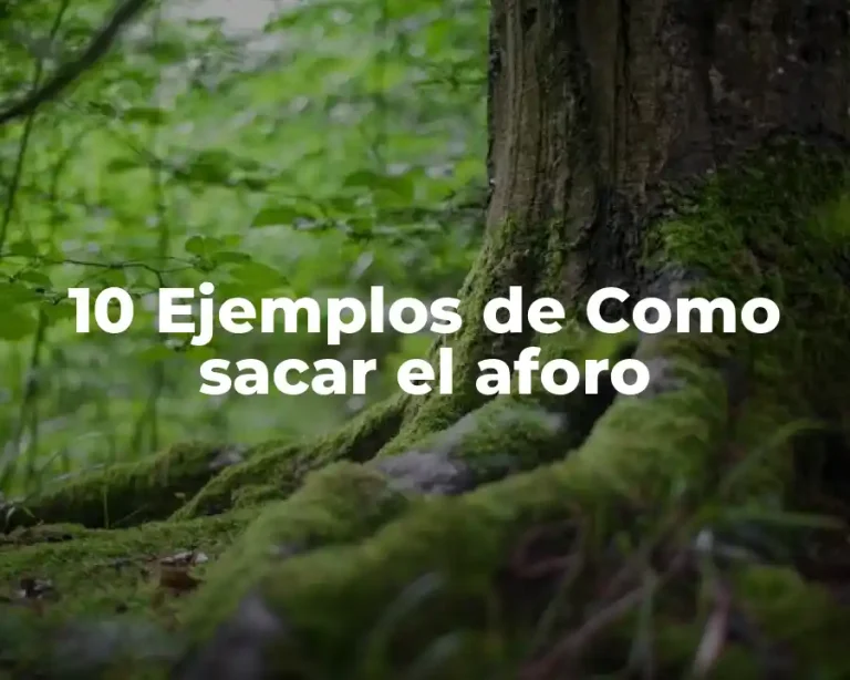 10 Ejemplos de Como sacar el aforo