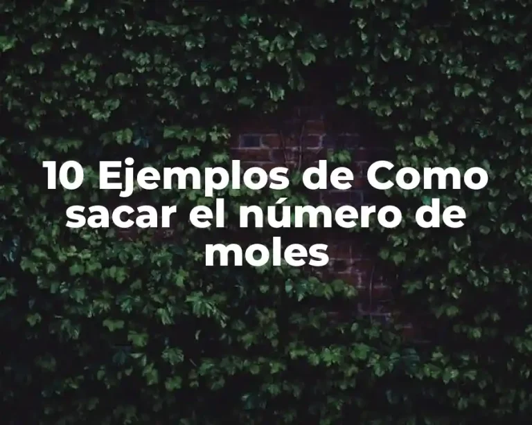 10 Ejemplos de Como sacar el número de moles