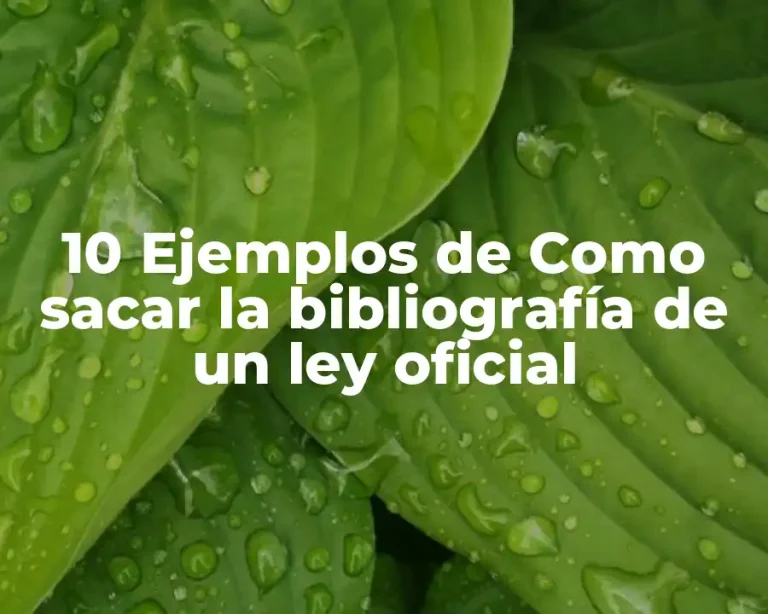 10 Ejemplos de Como sacar la bibliografía de un ley oficial