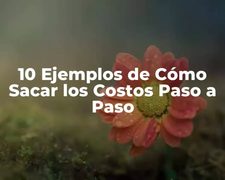 10 Ejemplos de Cómo Sacar los Costos Paso a Paso