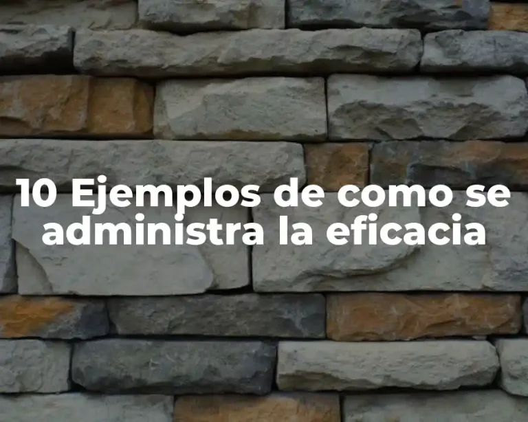 10 Ejemplos de como se administra la eficacia