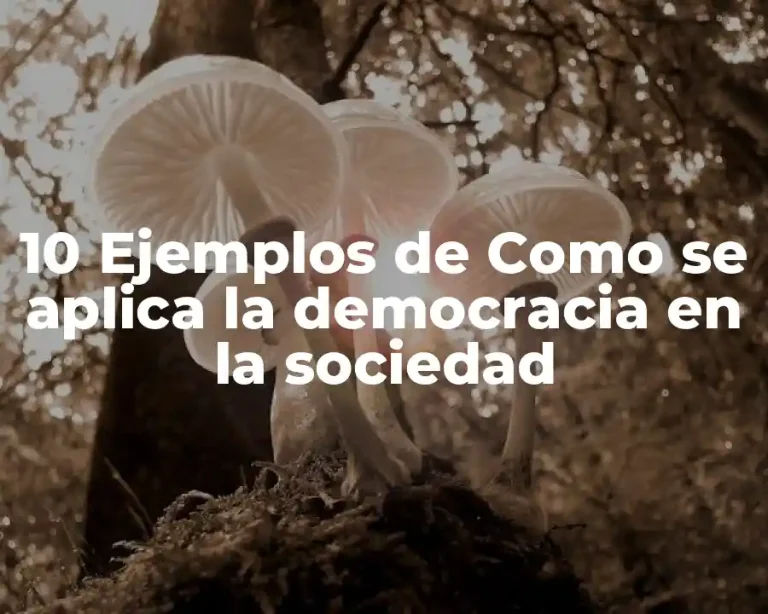10 Ejemplos de Como se aplica la democracia en la sociedad