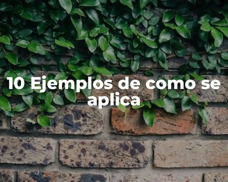 10 Ejemplos de como se aplica