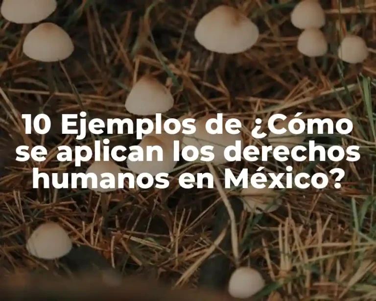 10 Ejemplos de ¿Cómo se aplican los derechos humanos en México?