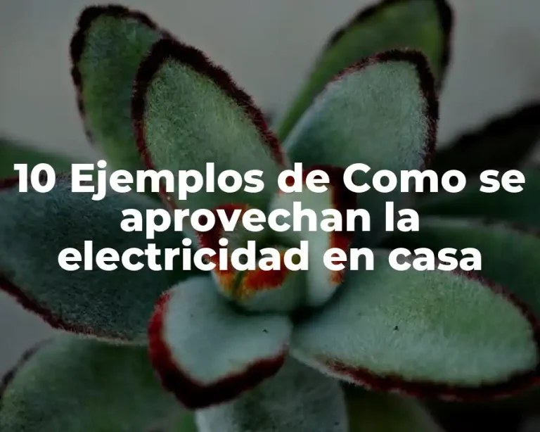 10 Ejemplos de Como se aprovechan la electricidad en casa