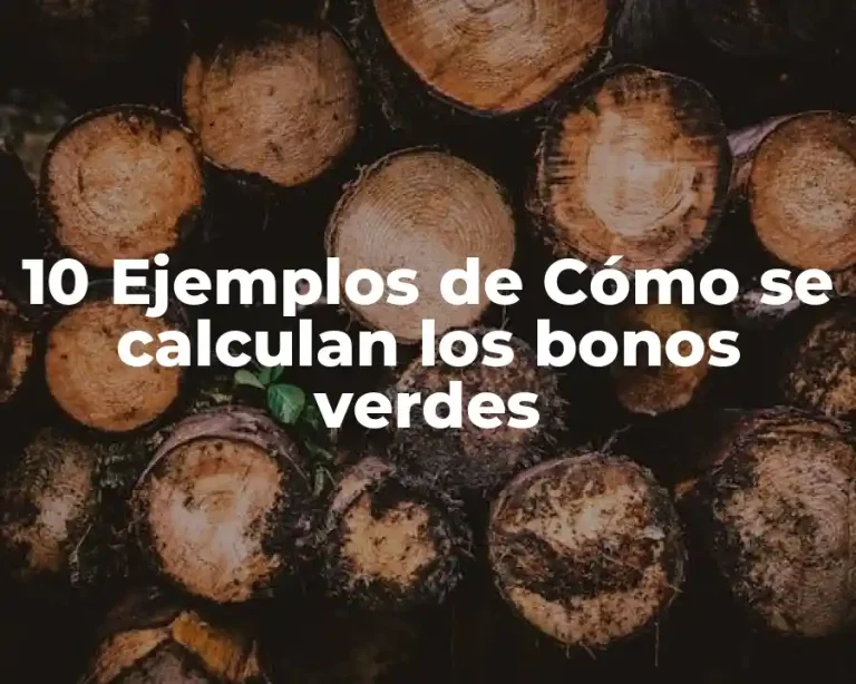 10 Ejemplos de Cómo se calculan los bonos verdes