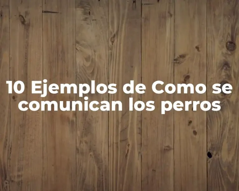 10 Ejemplos de Como se comunican los perros