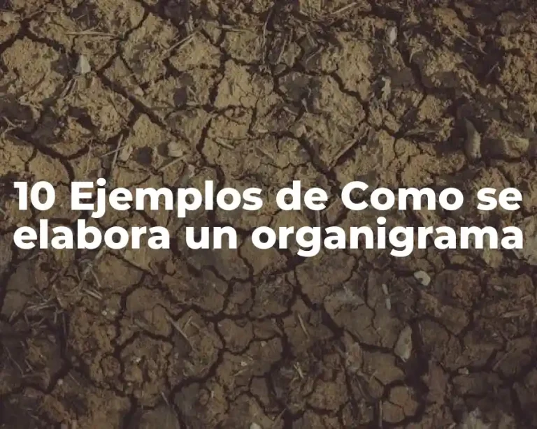10 Ejemplos de Como se elabora un organigrama