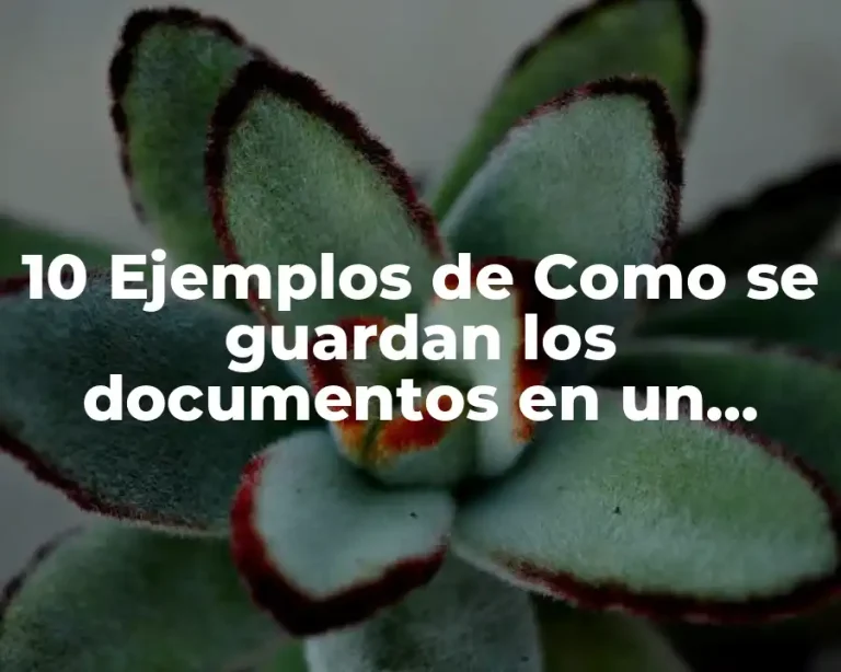10 Ejemplos de Como se guardan los documentos en un expediente