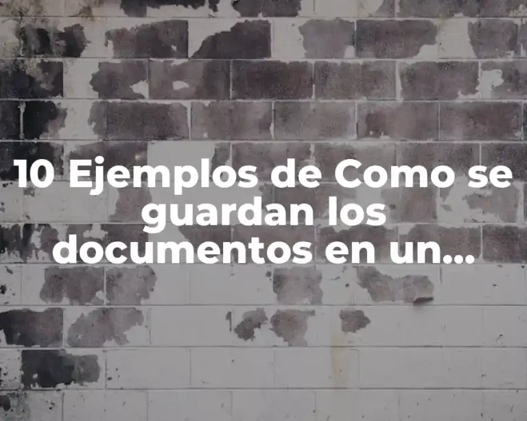 10 Ejemplos de Como se guardan los documentos en un expediente