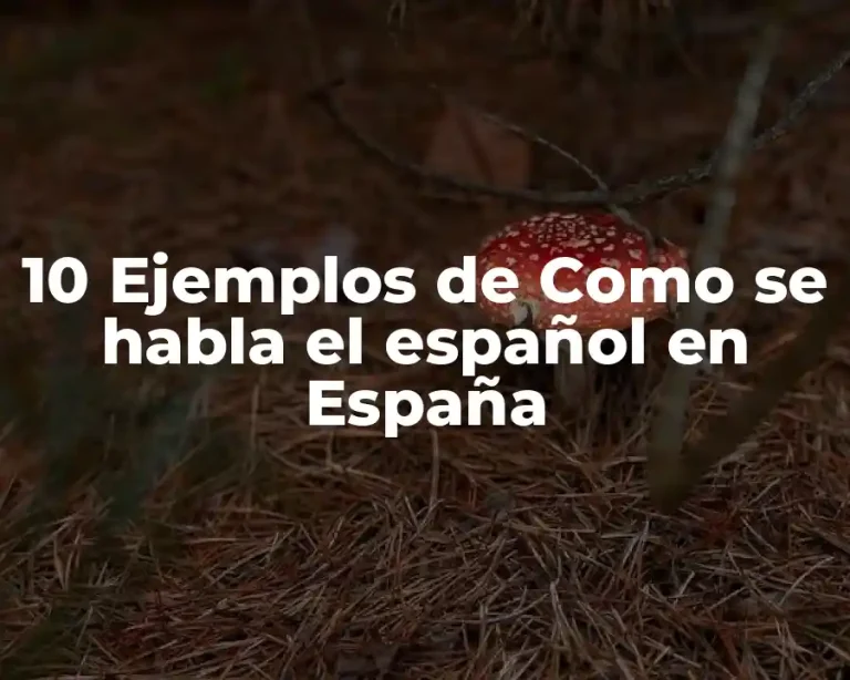 10 Ejemplos de Como se habla el español en España