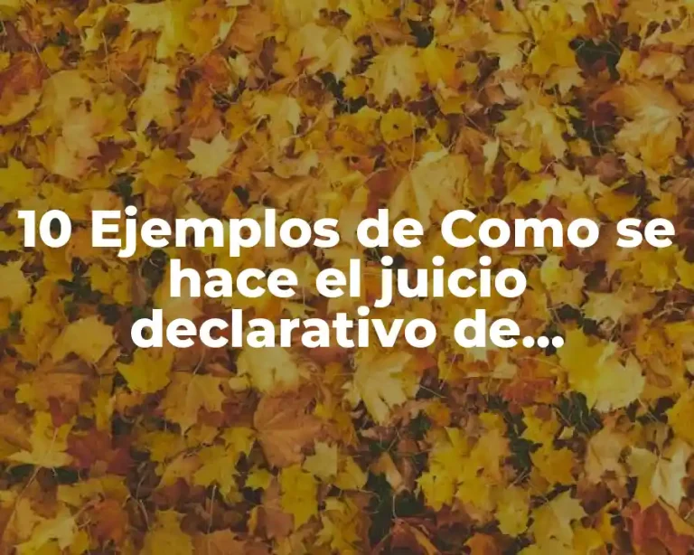 10 Ejemplos de Como se hace el juicio declarativo de beneficiario