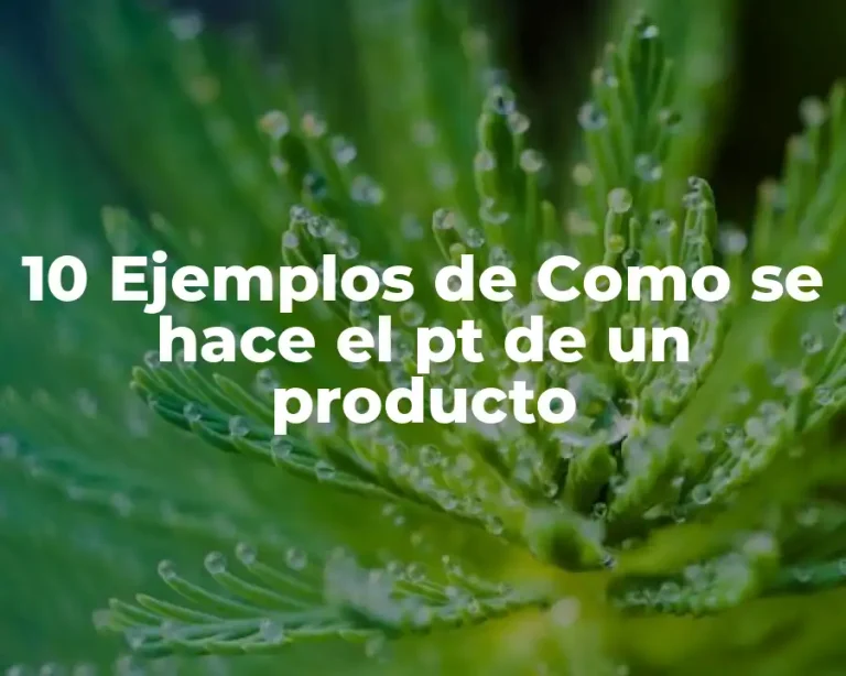 10 Ejemplos de Como se hace el pt de un producto