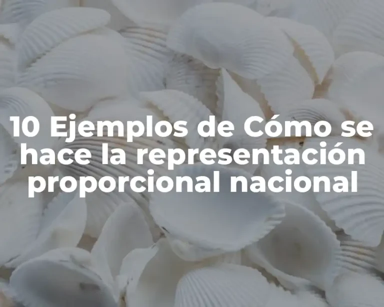 10 Ejemplos de Cómo se hace la representación proporcional nacional