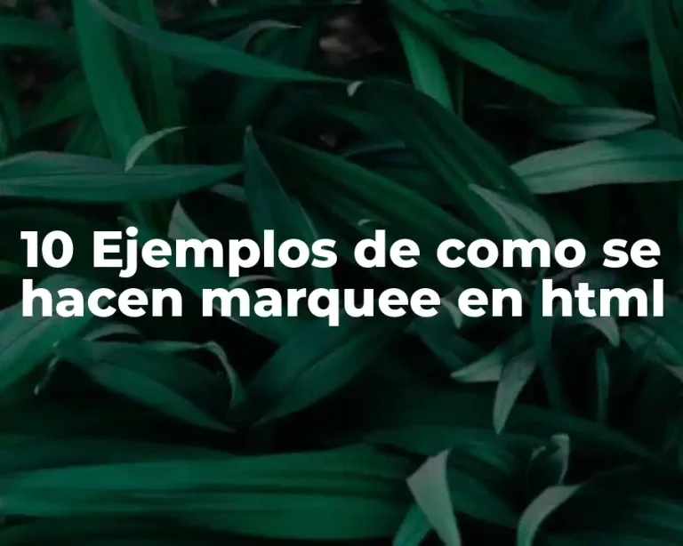 10 Ejemplos de como se hacen marquee en html