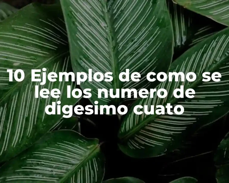 10 Ejemplos de como se lee los numero de digesimo cuato