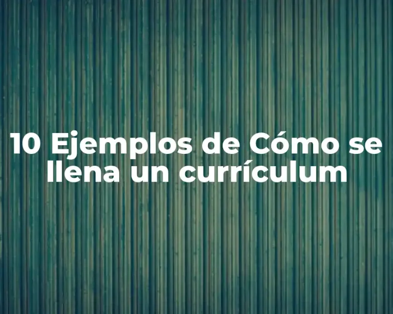 10 Ejemplos de Cómo se llena un currículum