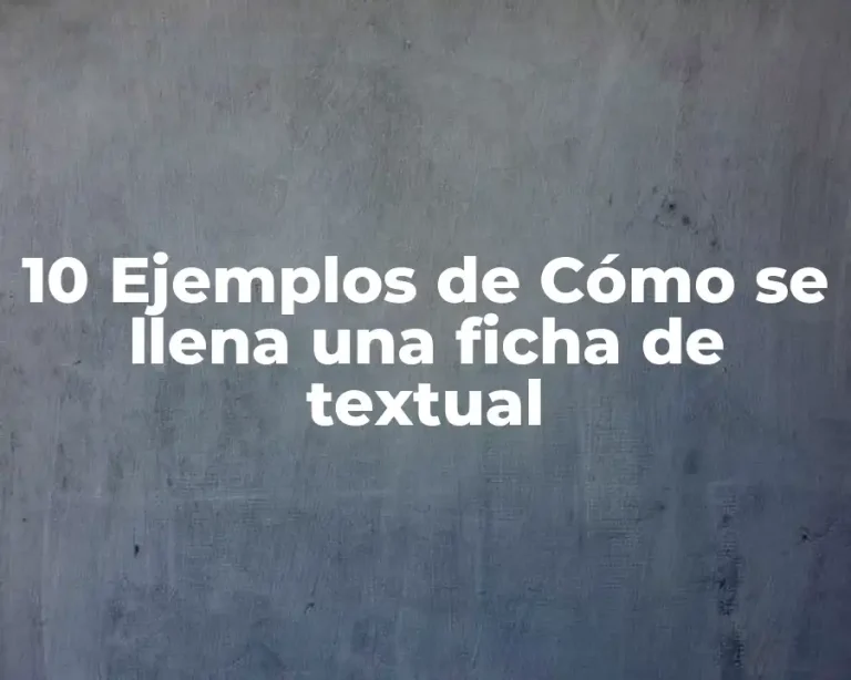 10 Ejemplos de Cómo se llena una ficha de textual