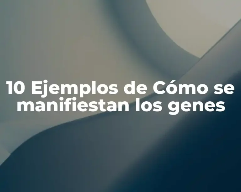 10 Ejemplos de Cómo se manifiestan los genes