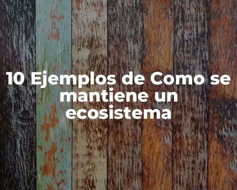 10 Ejemplos de Como se mantiene un ecosistema