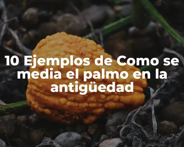 10 Ejemplos de Como se media el palmo en la antigüedad