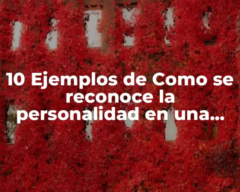 10 Ejemplos de Como se reconoce la personalidad en una negociación